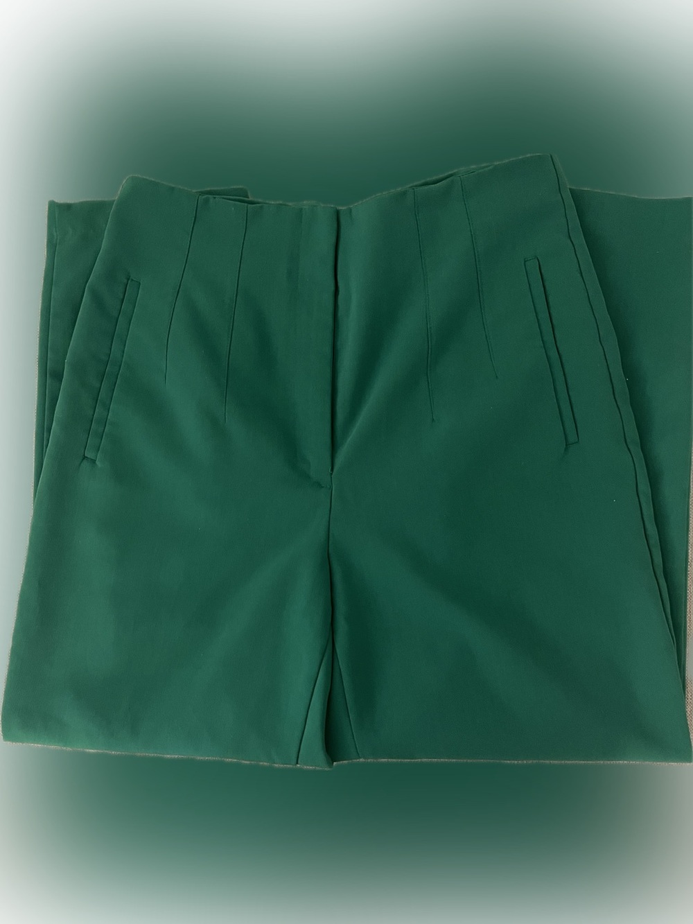 Zara High Waisted Trouser Pant